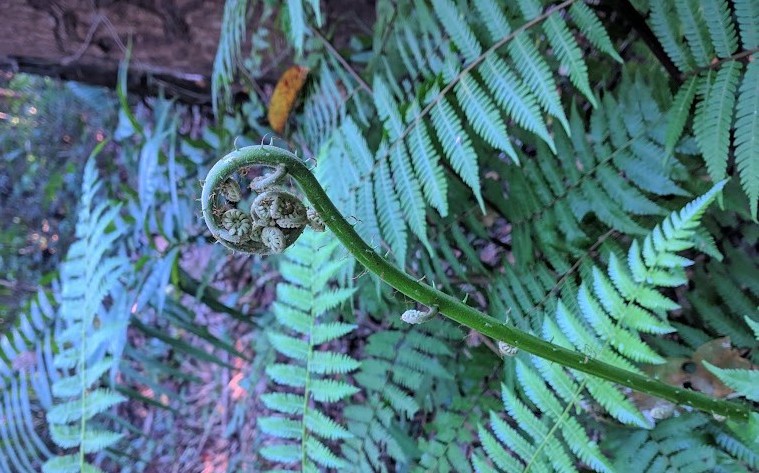 Contact illustration