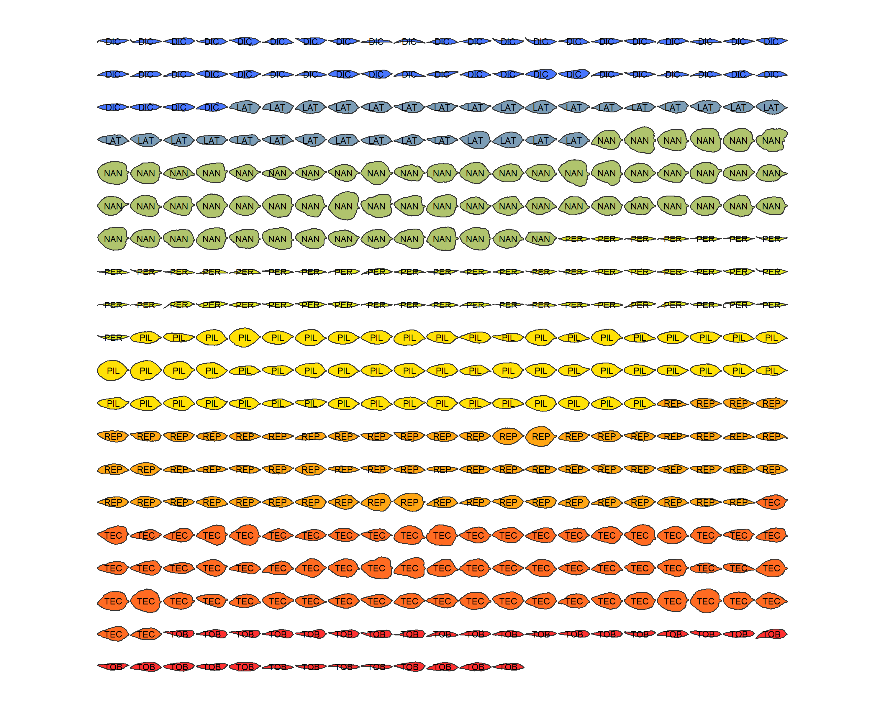 Mean shapes visualization